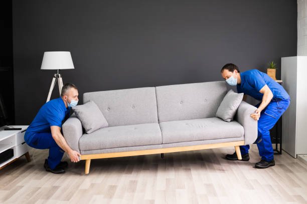 Best home movers and packers in Dubai
