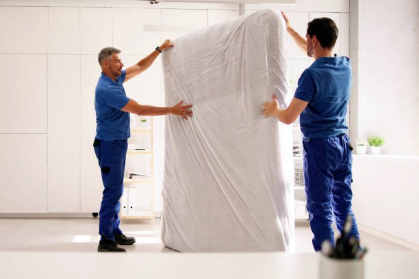 International Movers and Packers Dubai 