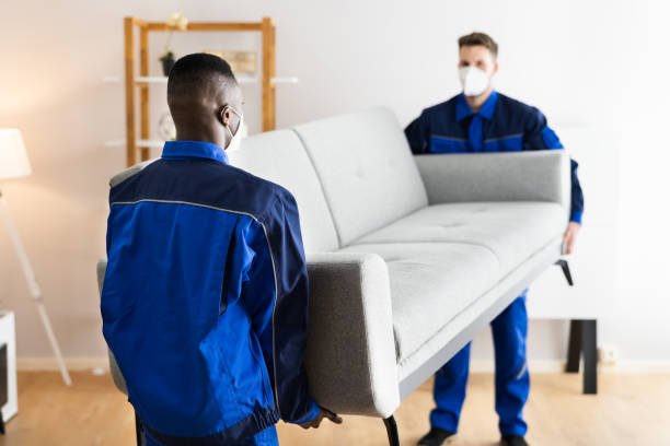 International Movers and Packers Dubai 