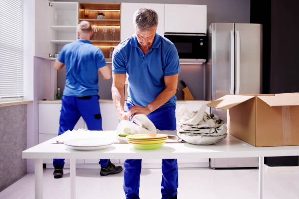 Professional Packers and Movers in Dubai
